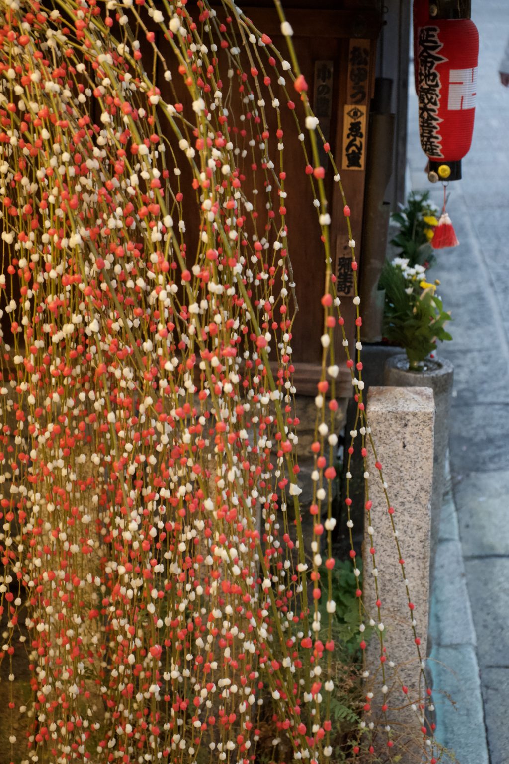 Tatsuya Dejima Official Site Tatsuya Dejima Official Site