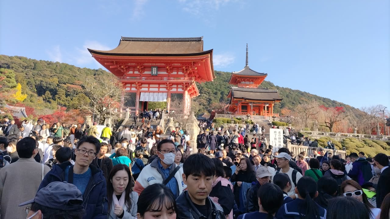 Tatsuya Dejima Official Site