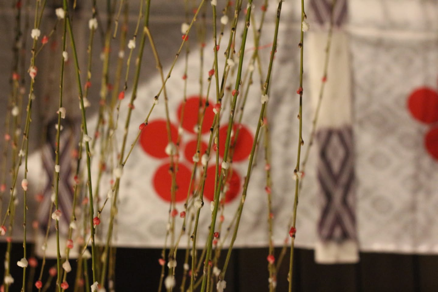 Tatsuya Dejima Official Site