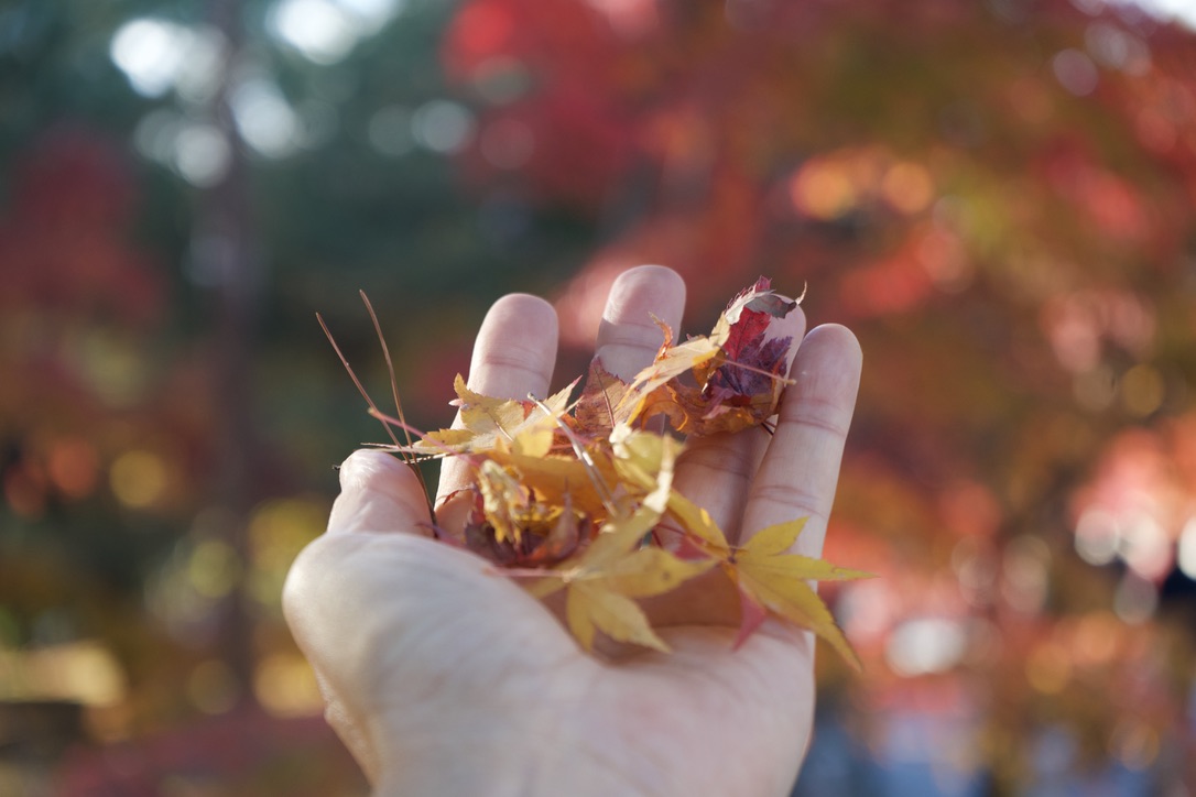 Tatsuya Dejima Official Site