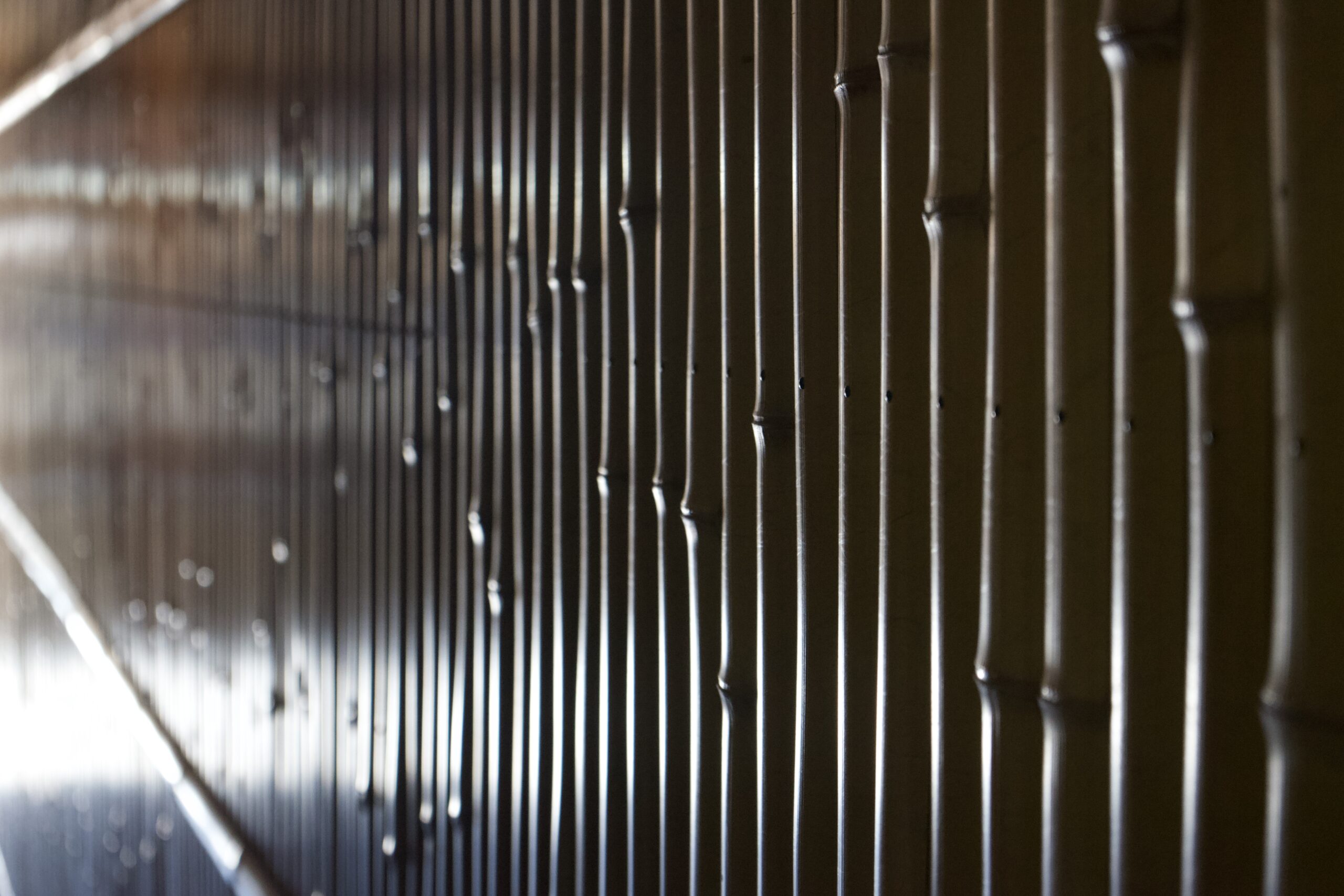 Tatsuya Dejima Official Site Tatsuya Dejima Official Site