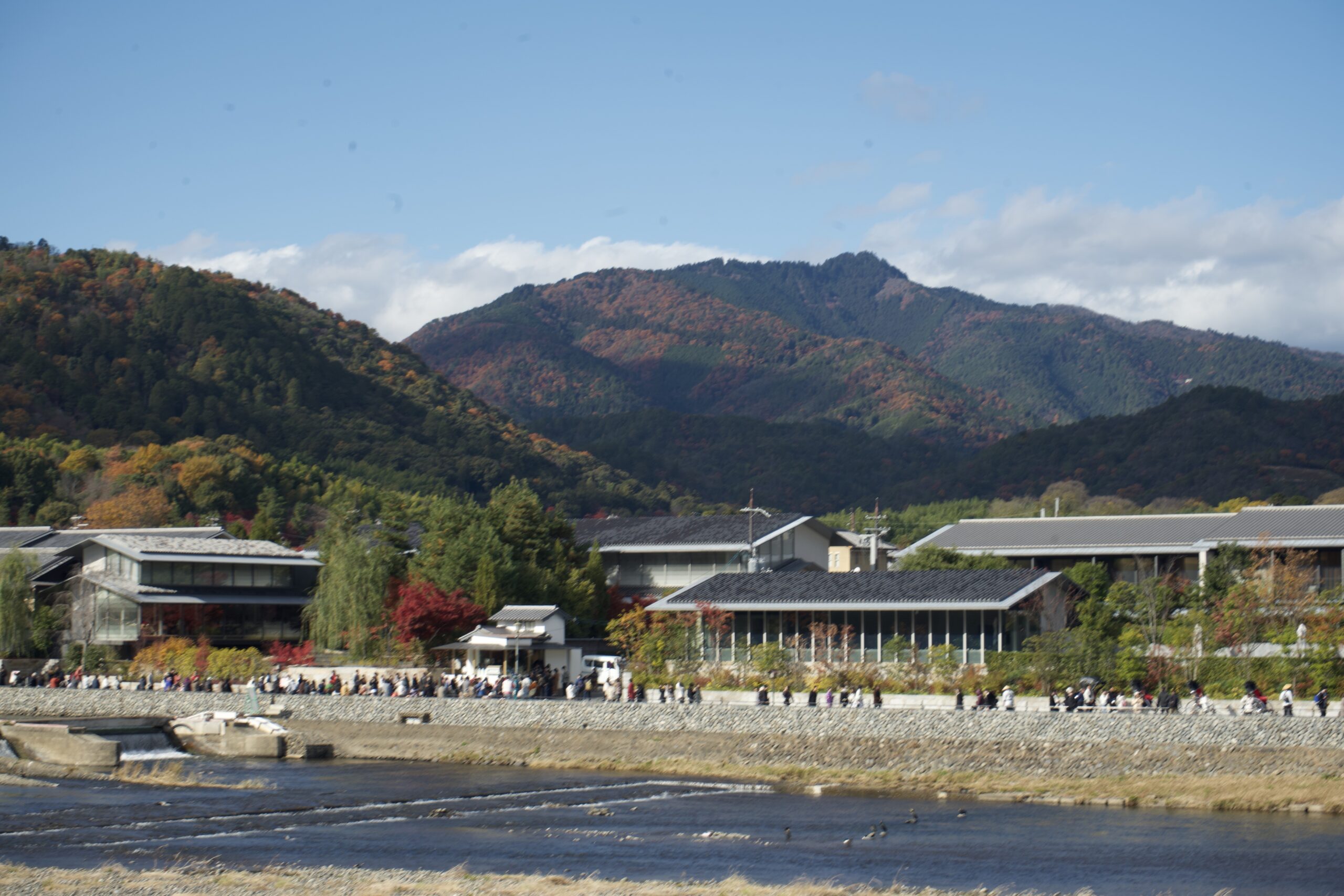 Tatsuya Dejima Official Site