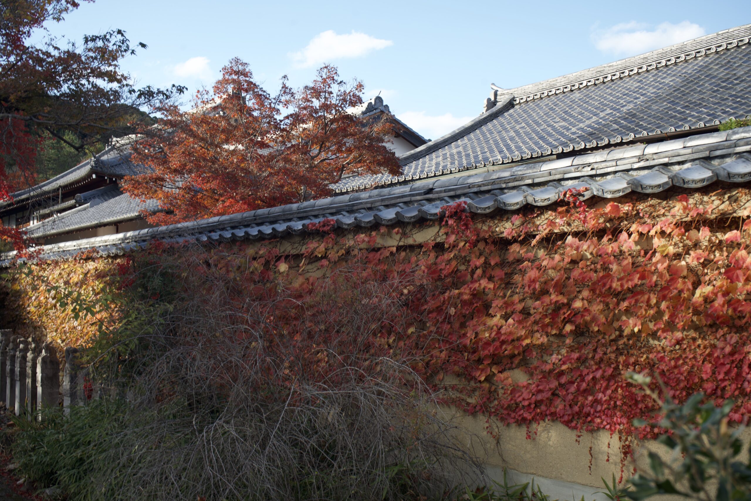 Tatsuya Dejima Official Site