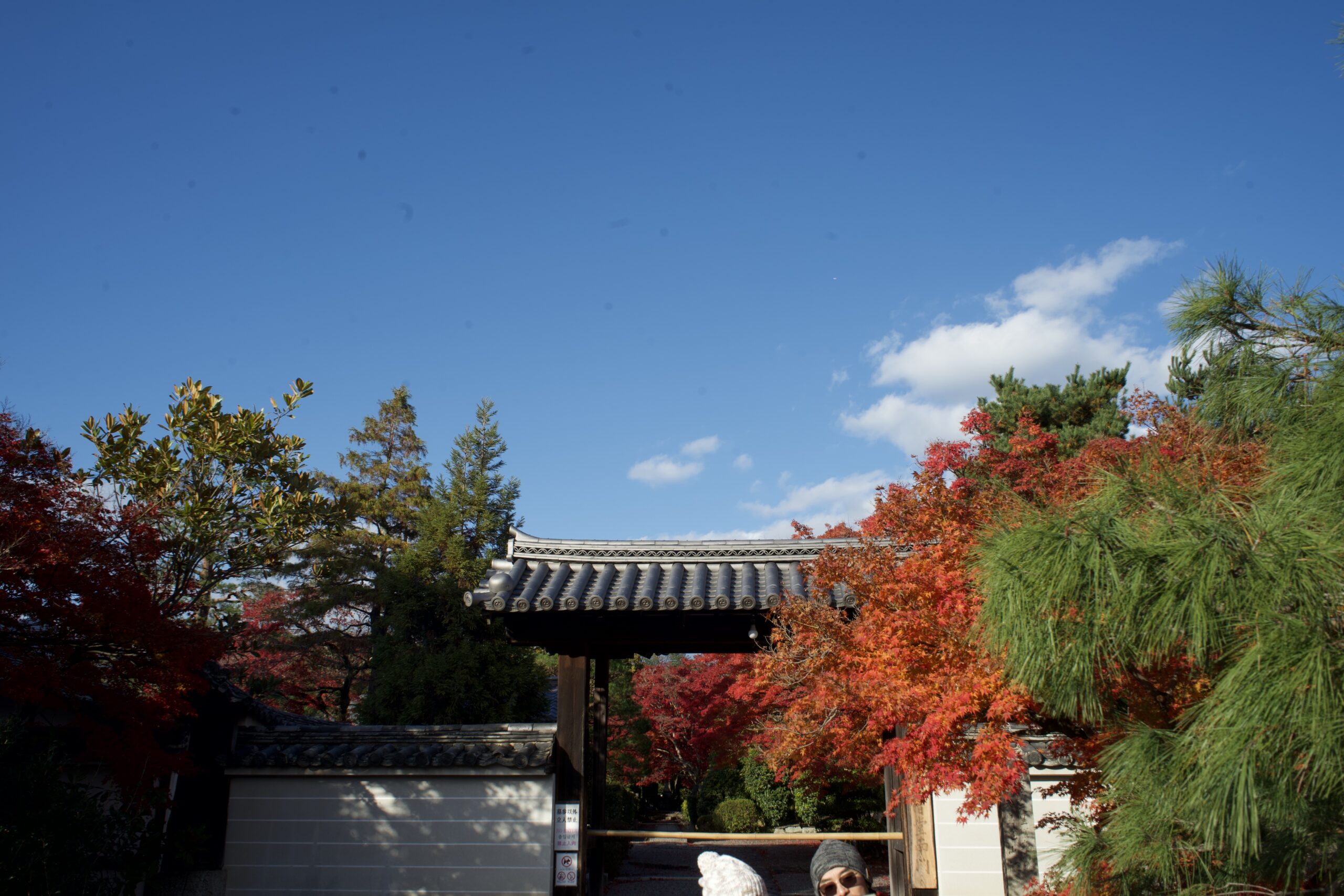 Tatsuya Dejima Official Site