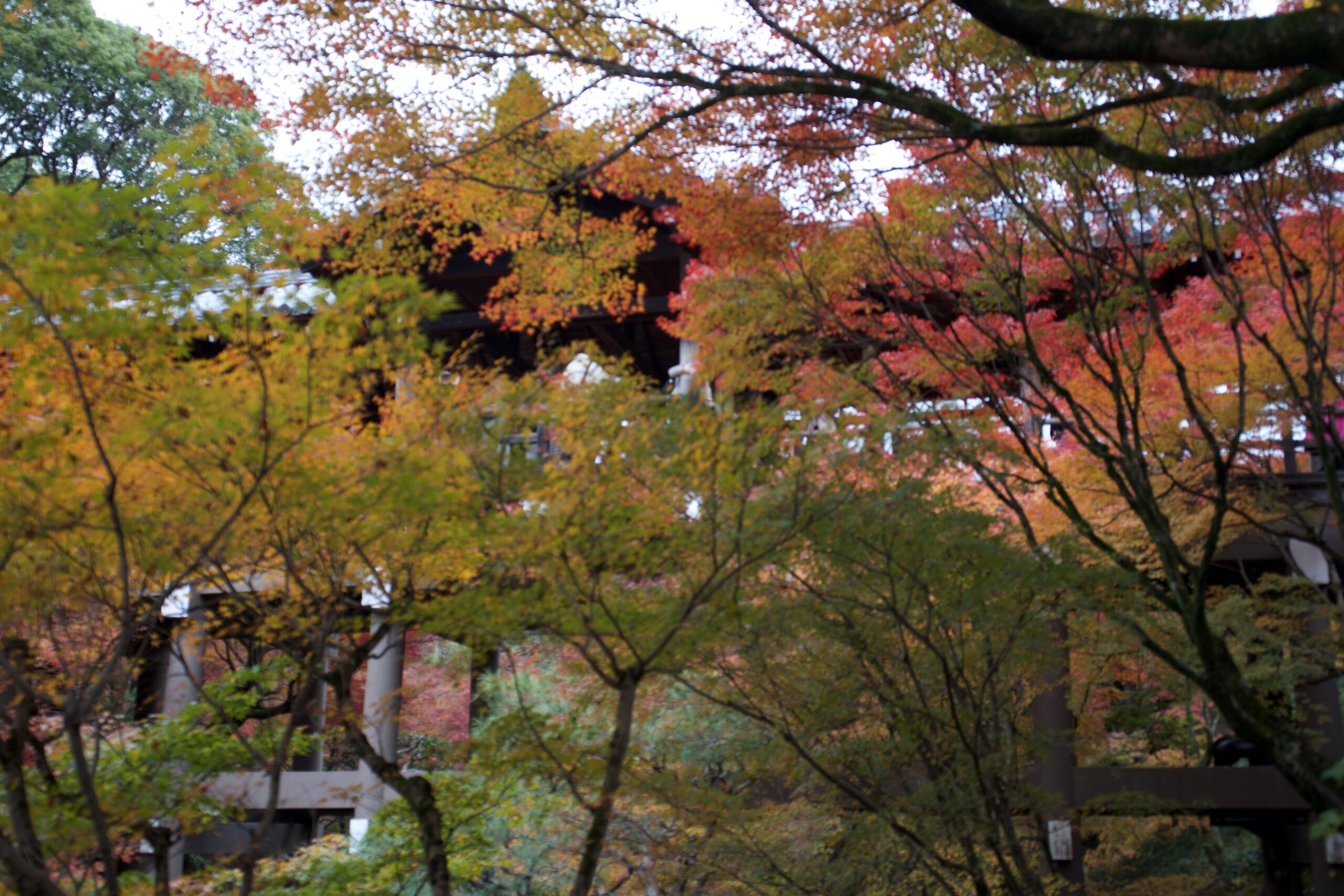 Tatsuya Dejima Official Site