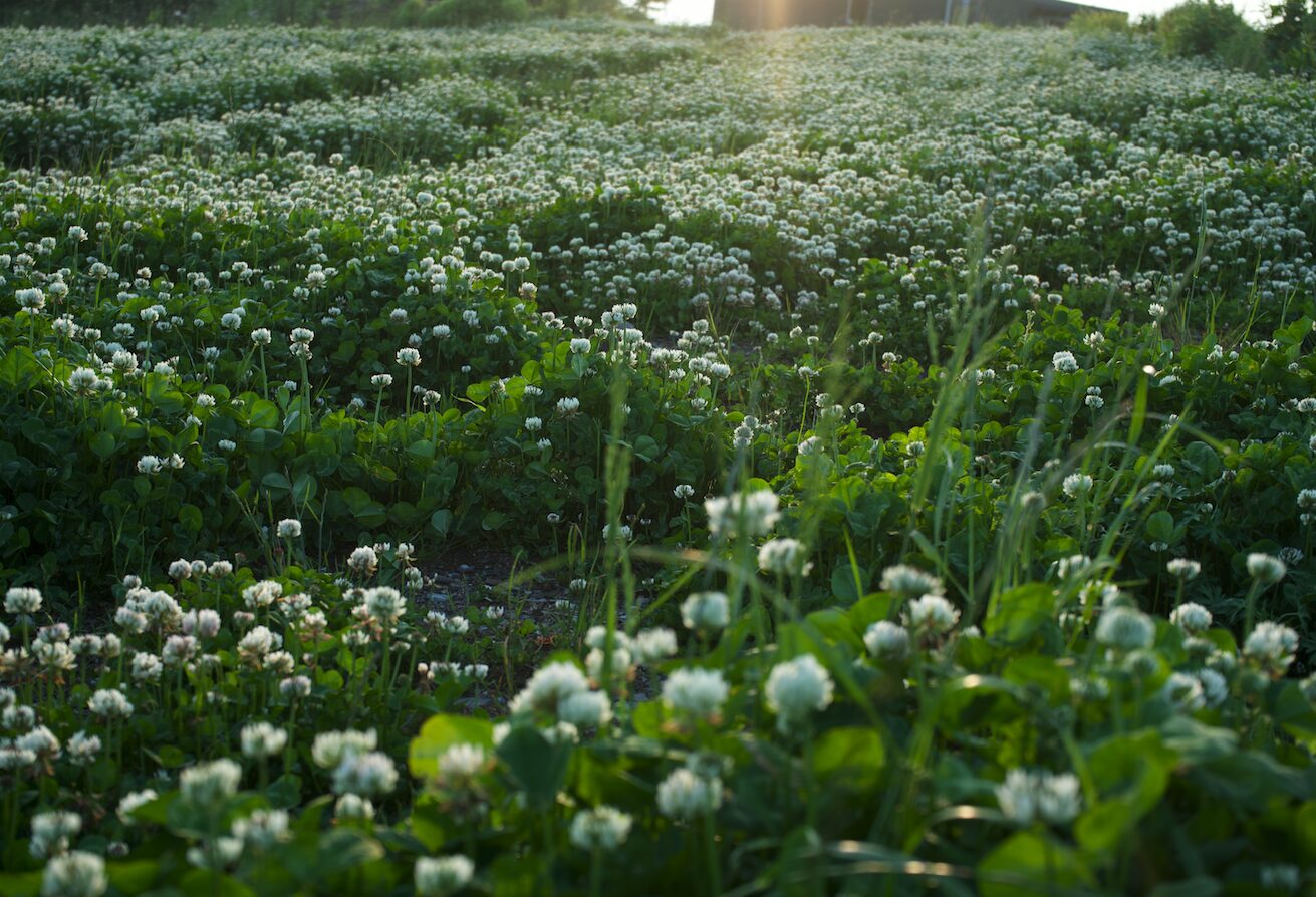 Tatsuya Dejima Official Site Tatsuya Dejima Official Site