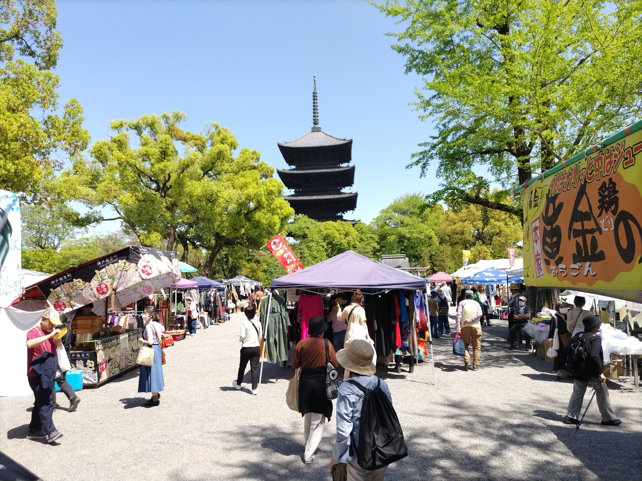 Tatsuya Dejima Official Site