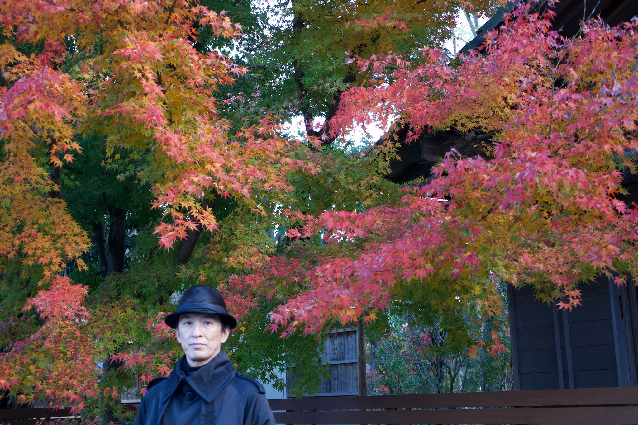 Tatsuya Dejima Official Site