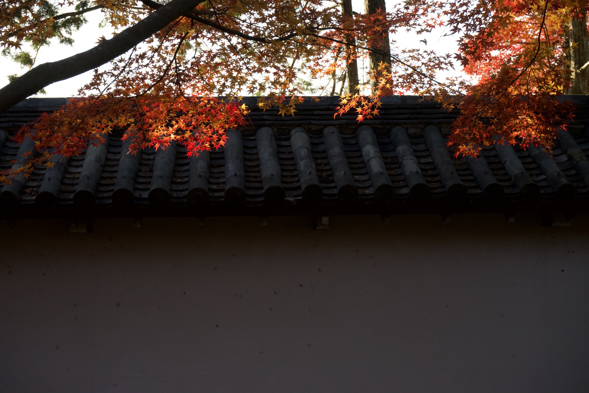 Tatsuya Dejima Official Site