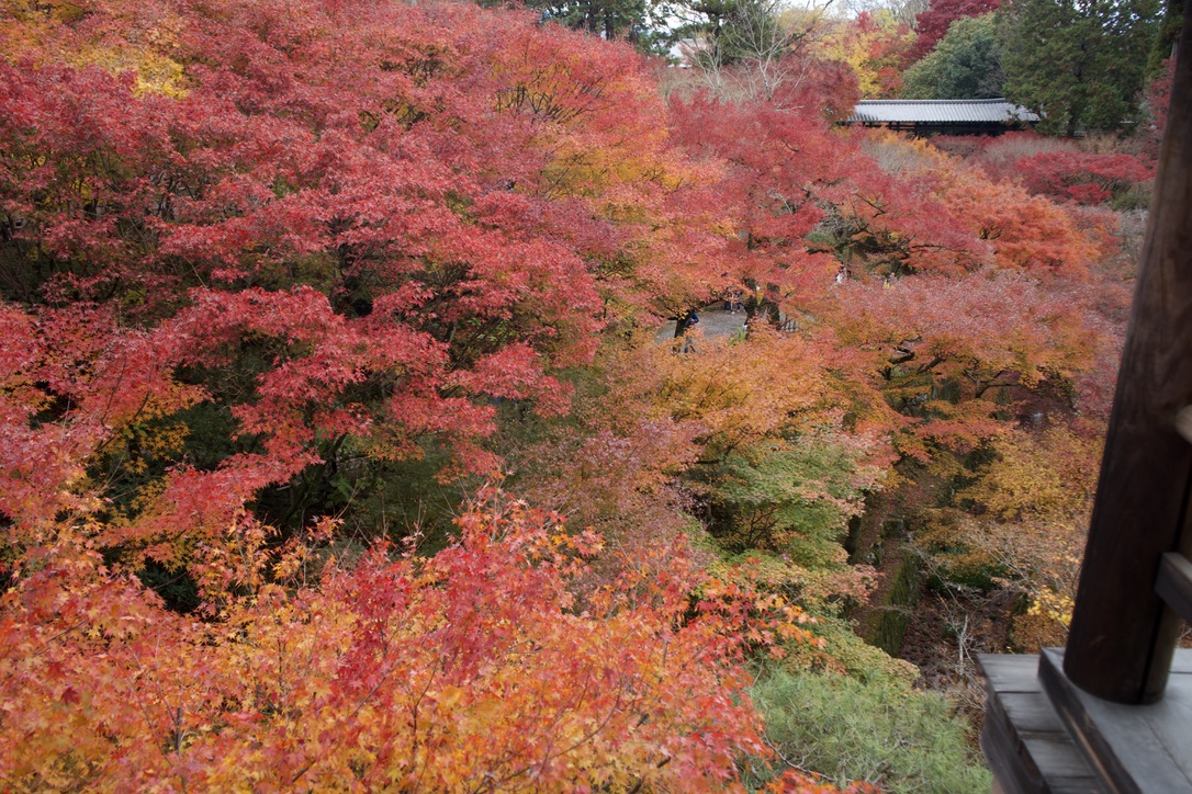 Tatsuya Dejima Official Site