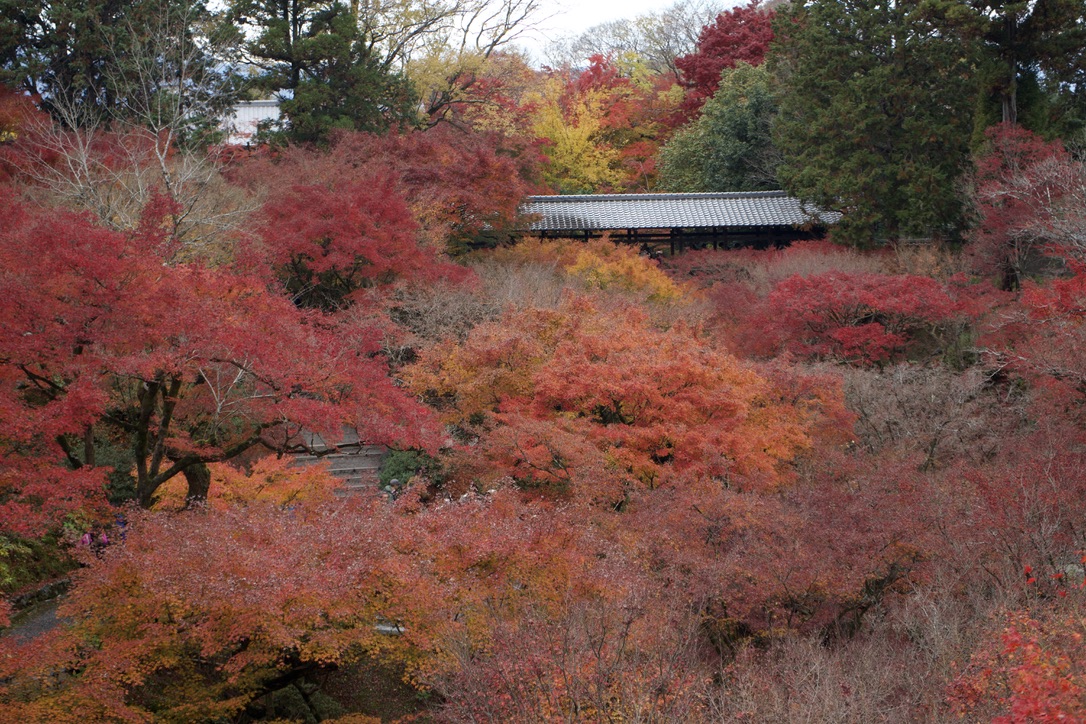 Tatsuya Dejima Official Site