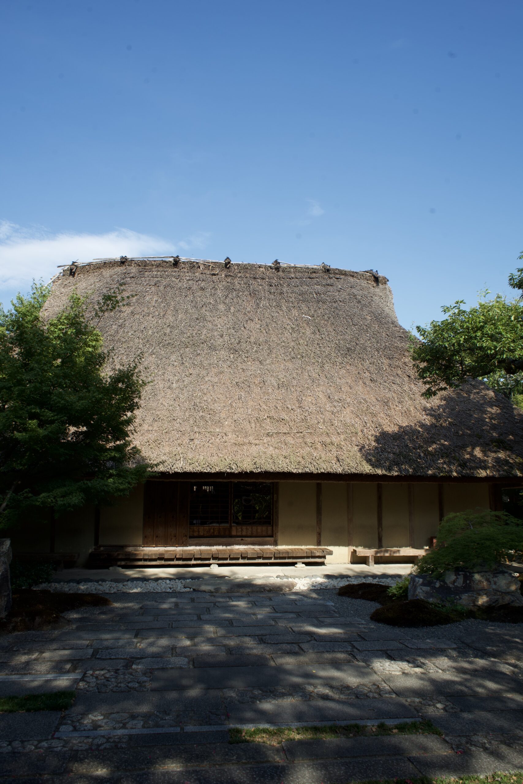 Tatsuya Dejima Official Site