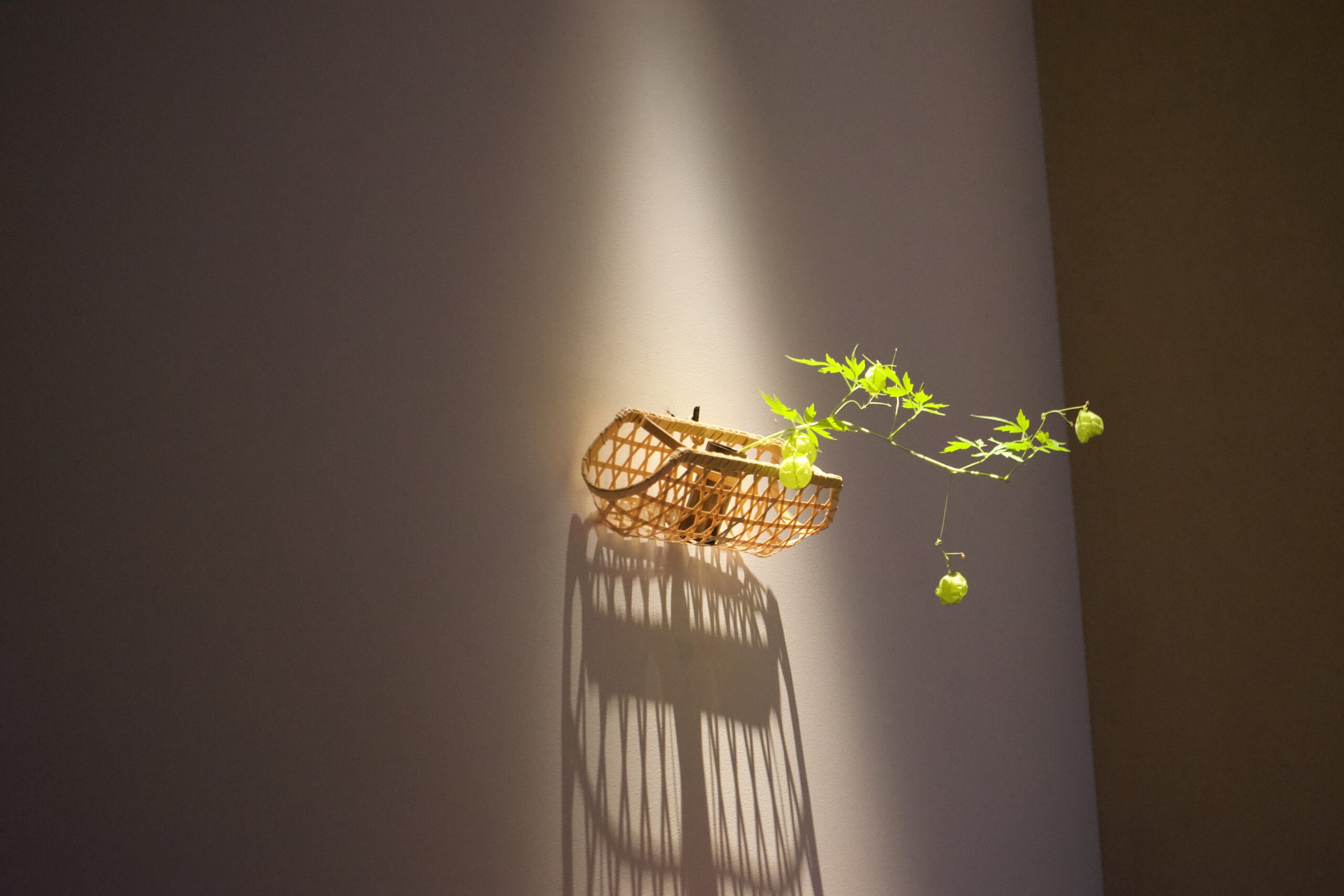 Tatsuya Dejima Official Site