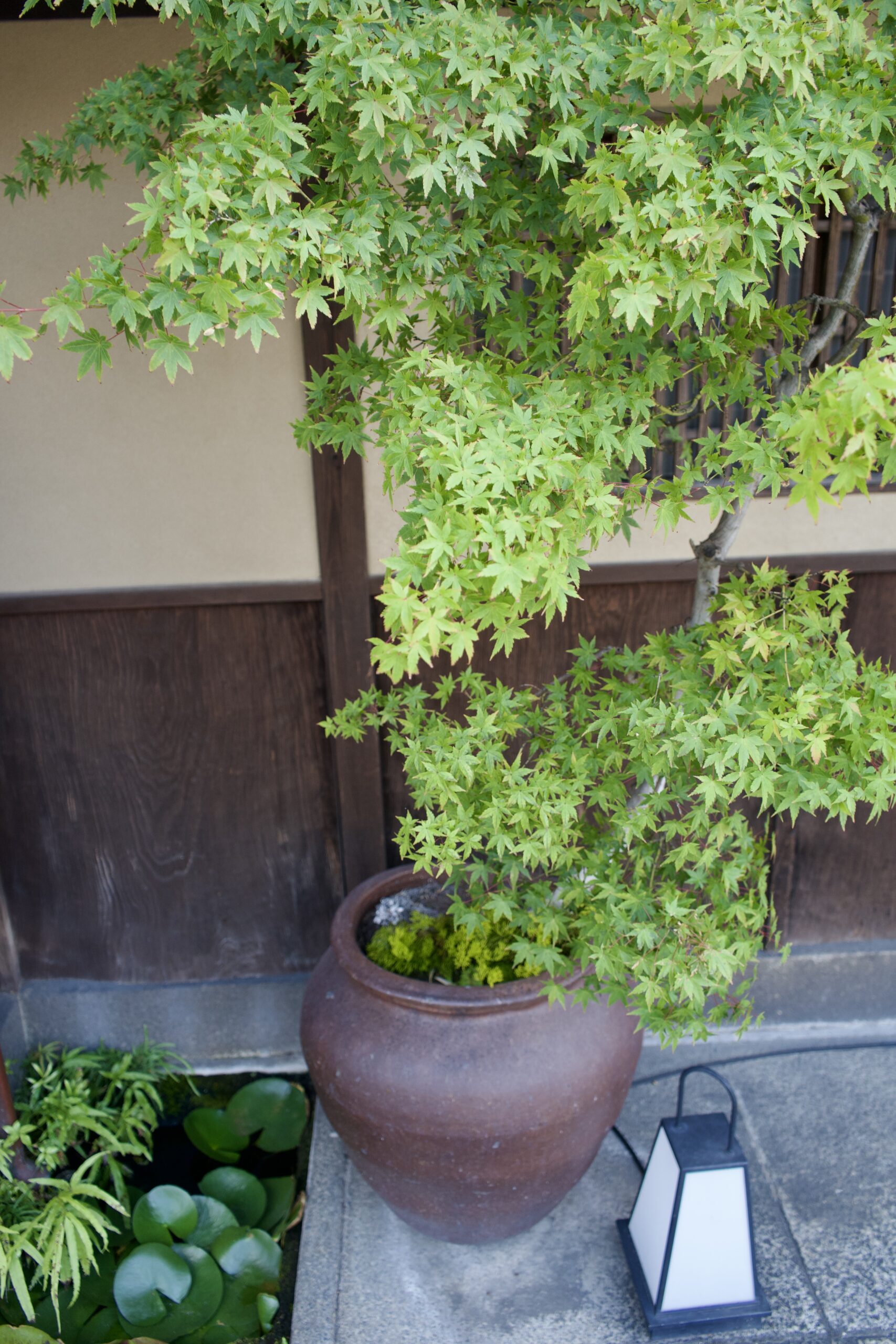 Tatsuya Dejima Official Site