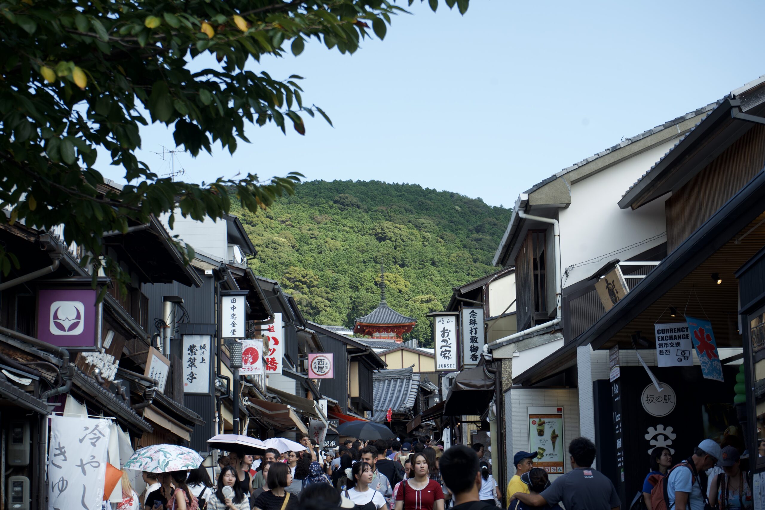 Tatsuya Dejima Official Site