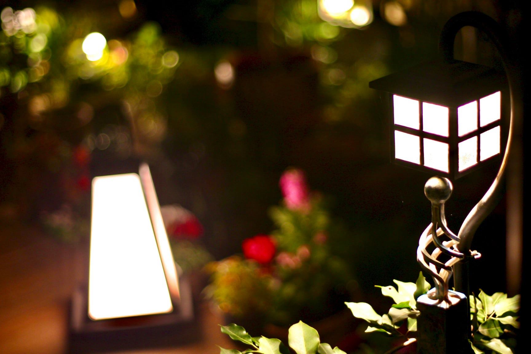 Tatsuya Dejima Official Site