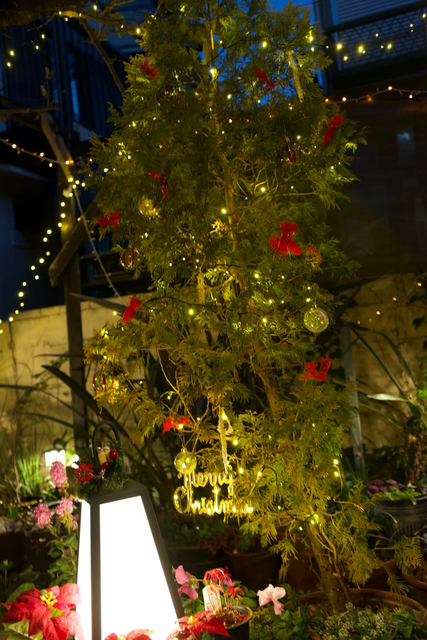 Tatsuya Dejima Official Site