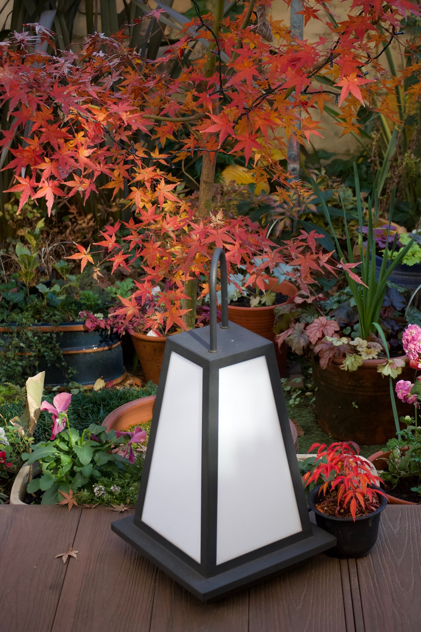 Tatsuya Dejima Official Site Tatsuya Dejima Official Site