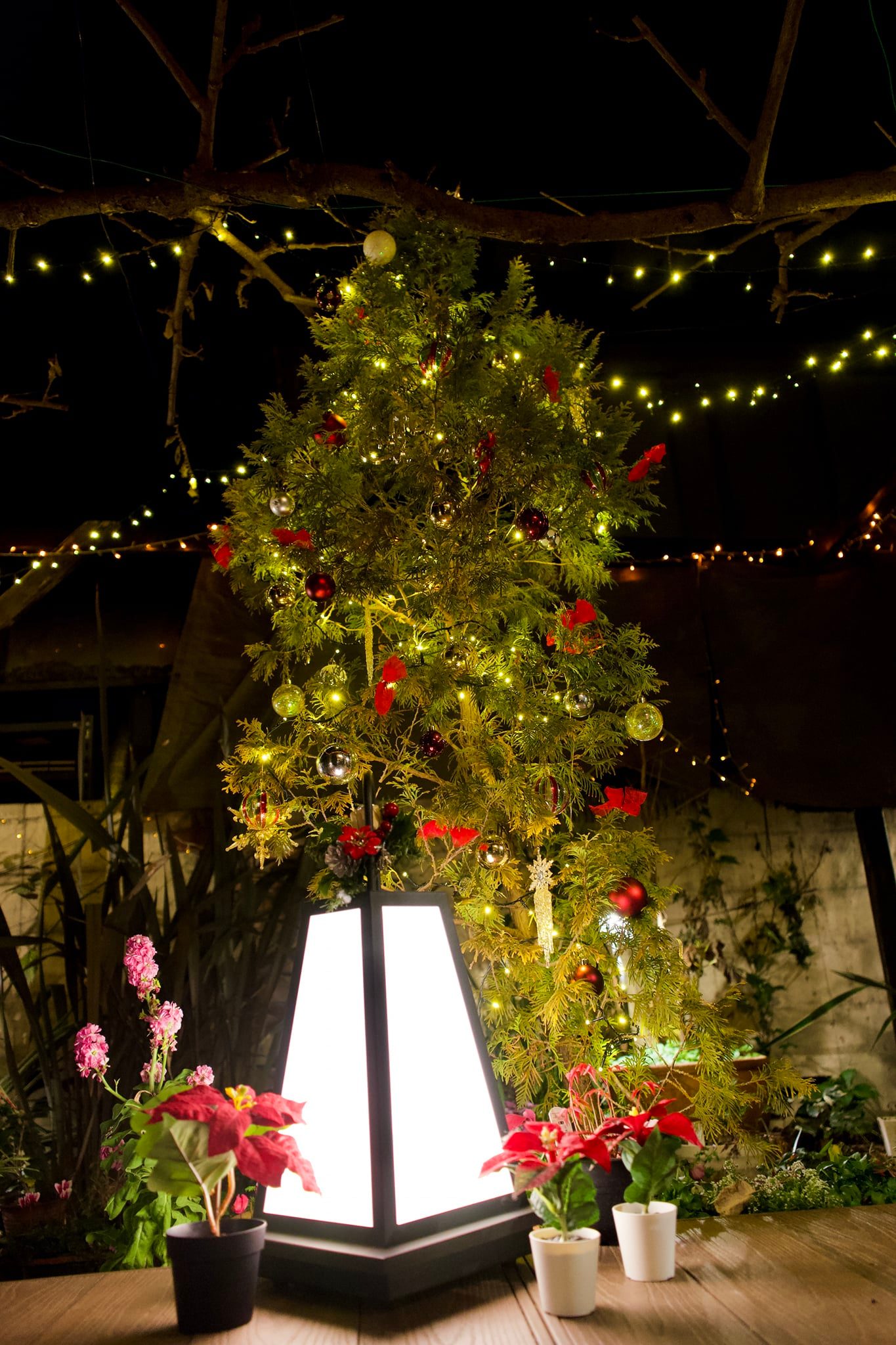 Tatsuya Dejima Official Site