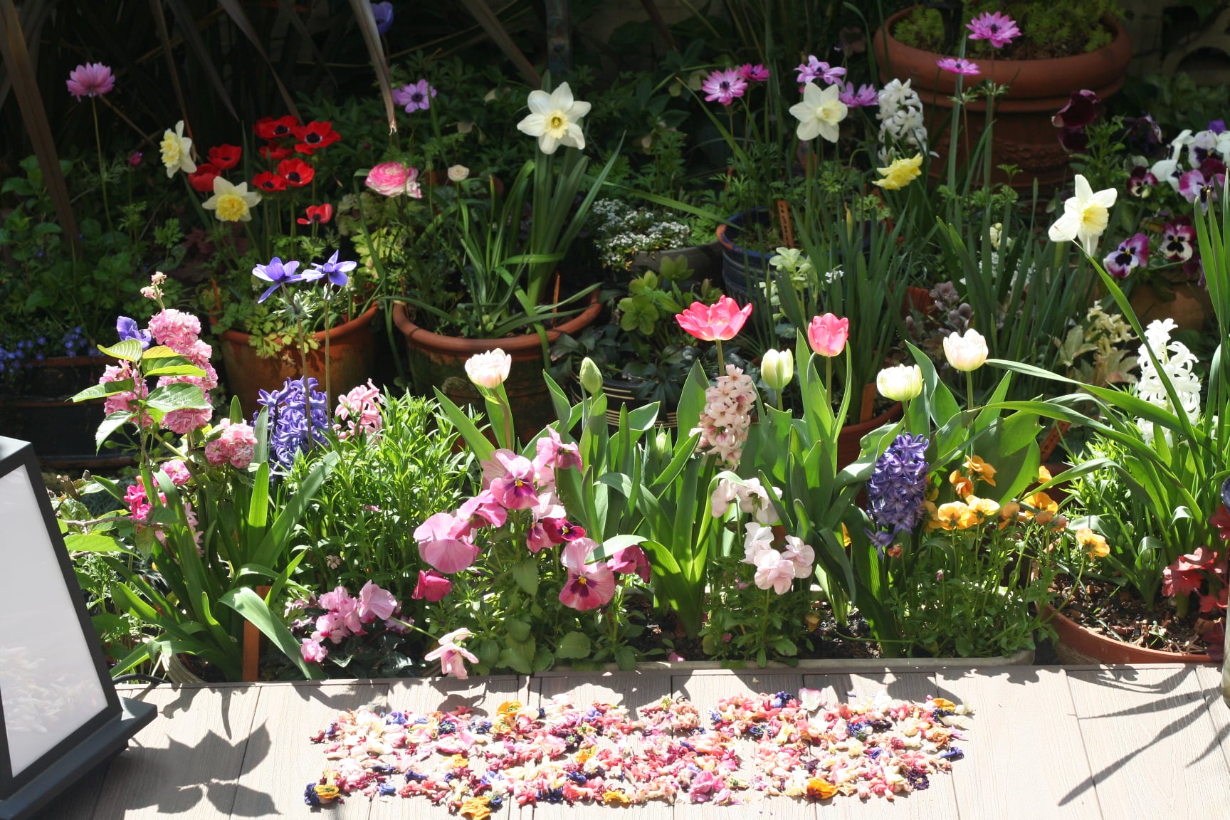 Tatsuya Dejima Official Site