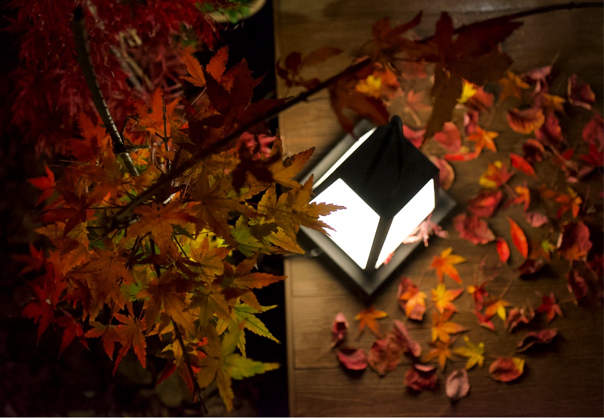 Tatsuya Dejima Official Site