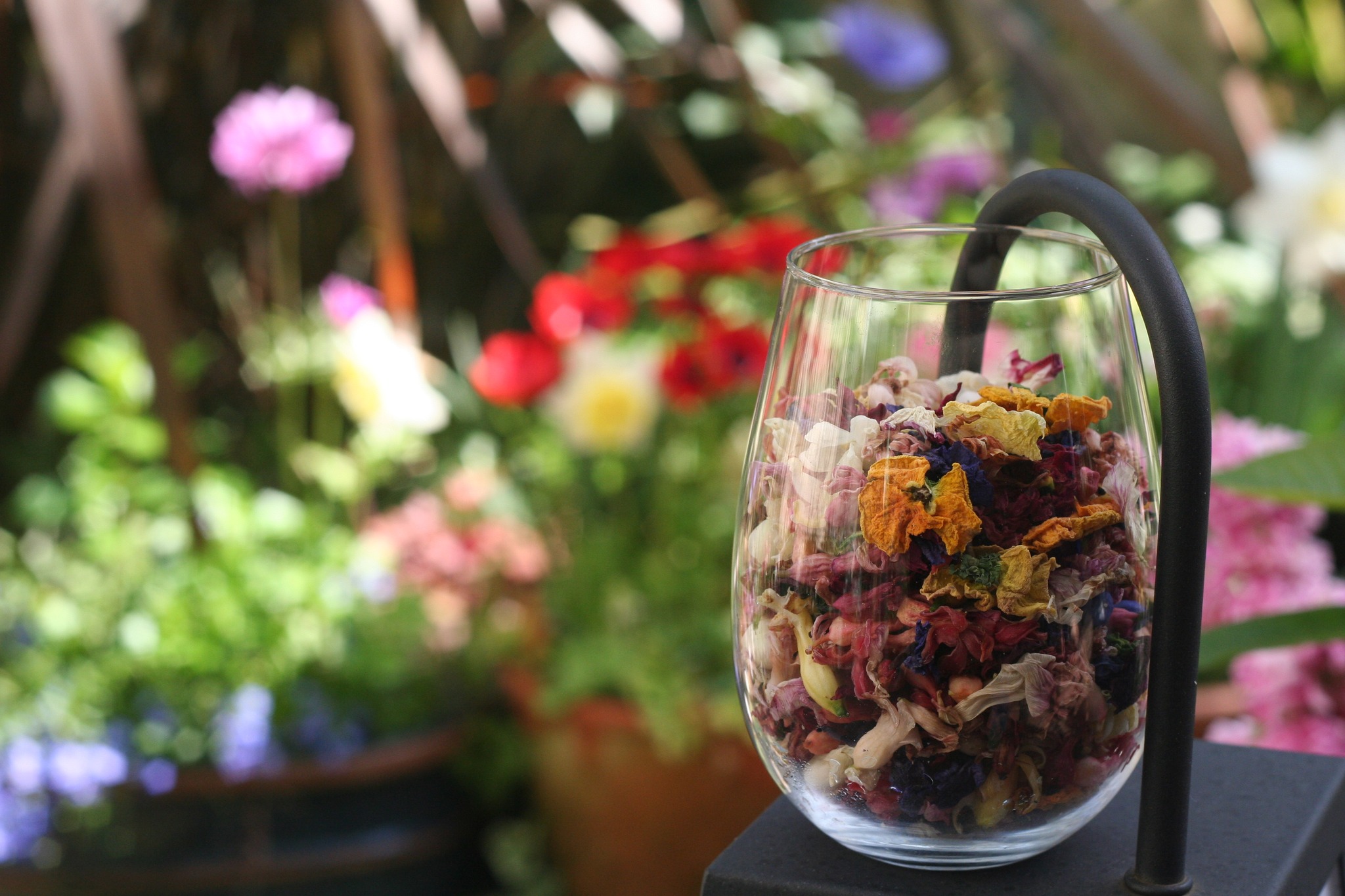 Tatsuya Dejima Official Site