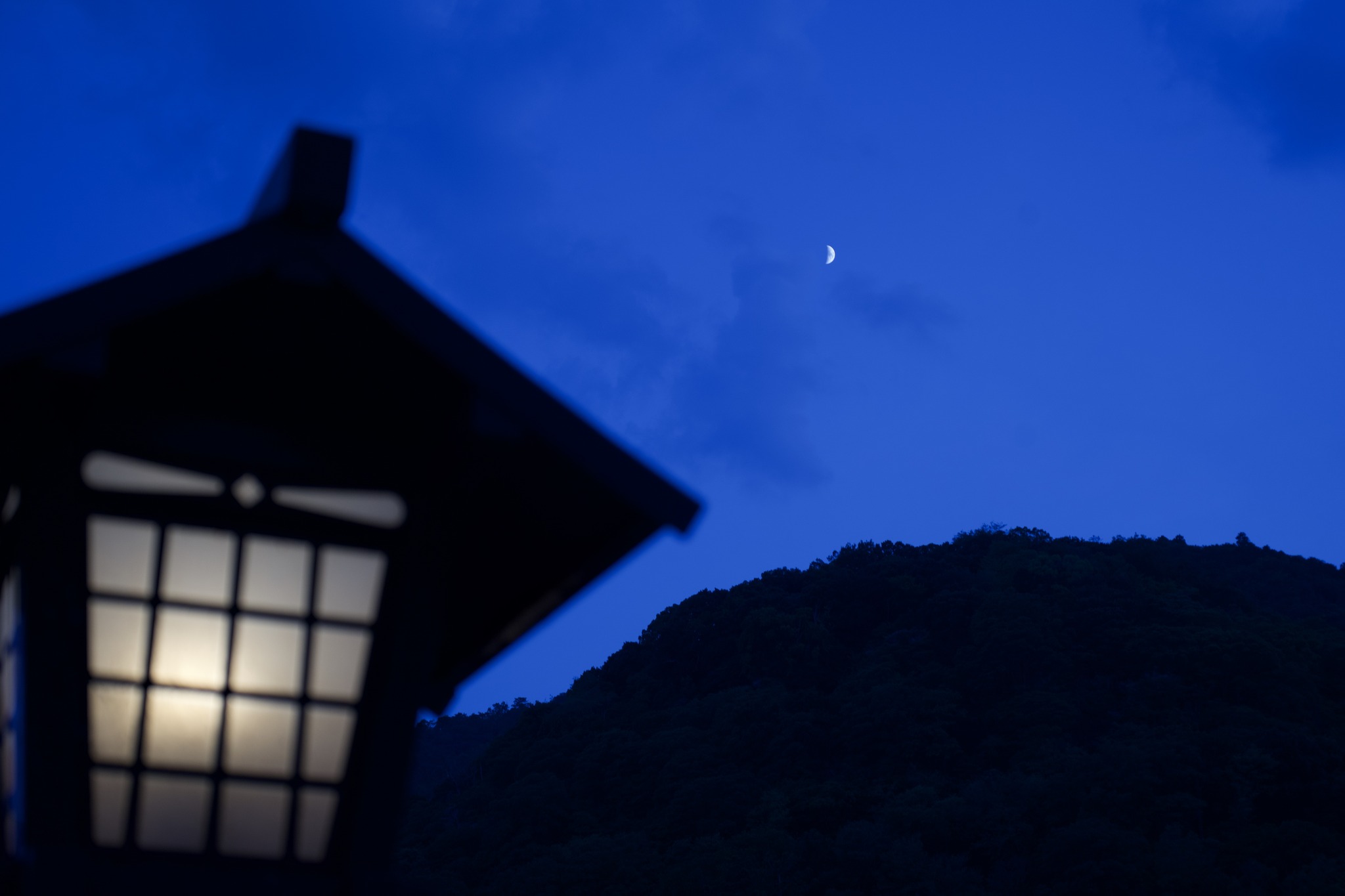 Tatsuya Dejima Official Site