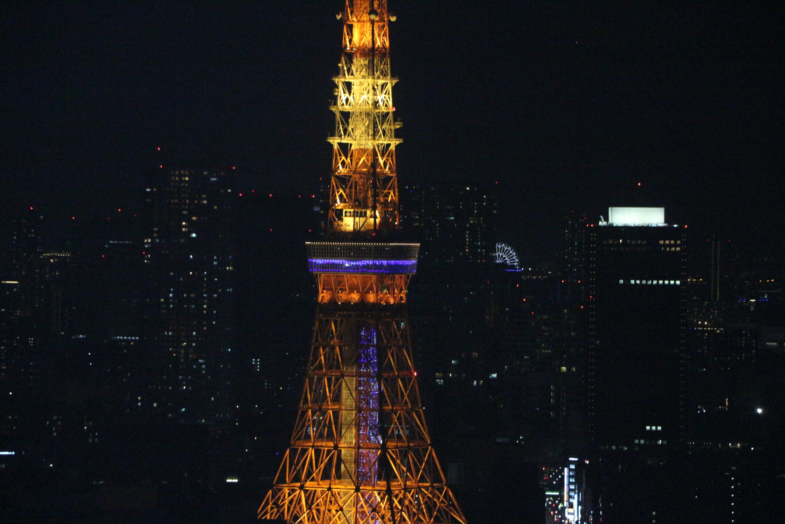 Tatsuya Dejima Official Site Tatsuya Dejima Official Site