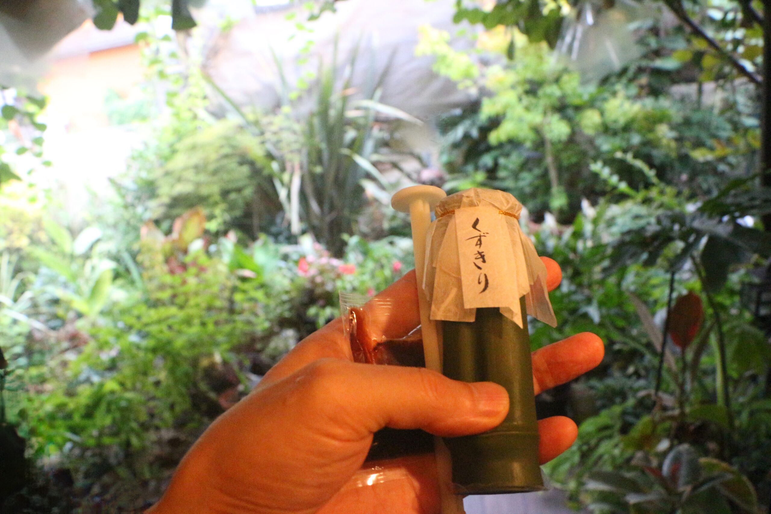 Tatsuya Dejima Official Site Tatsuya Dejima Official Site