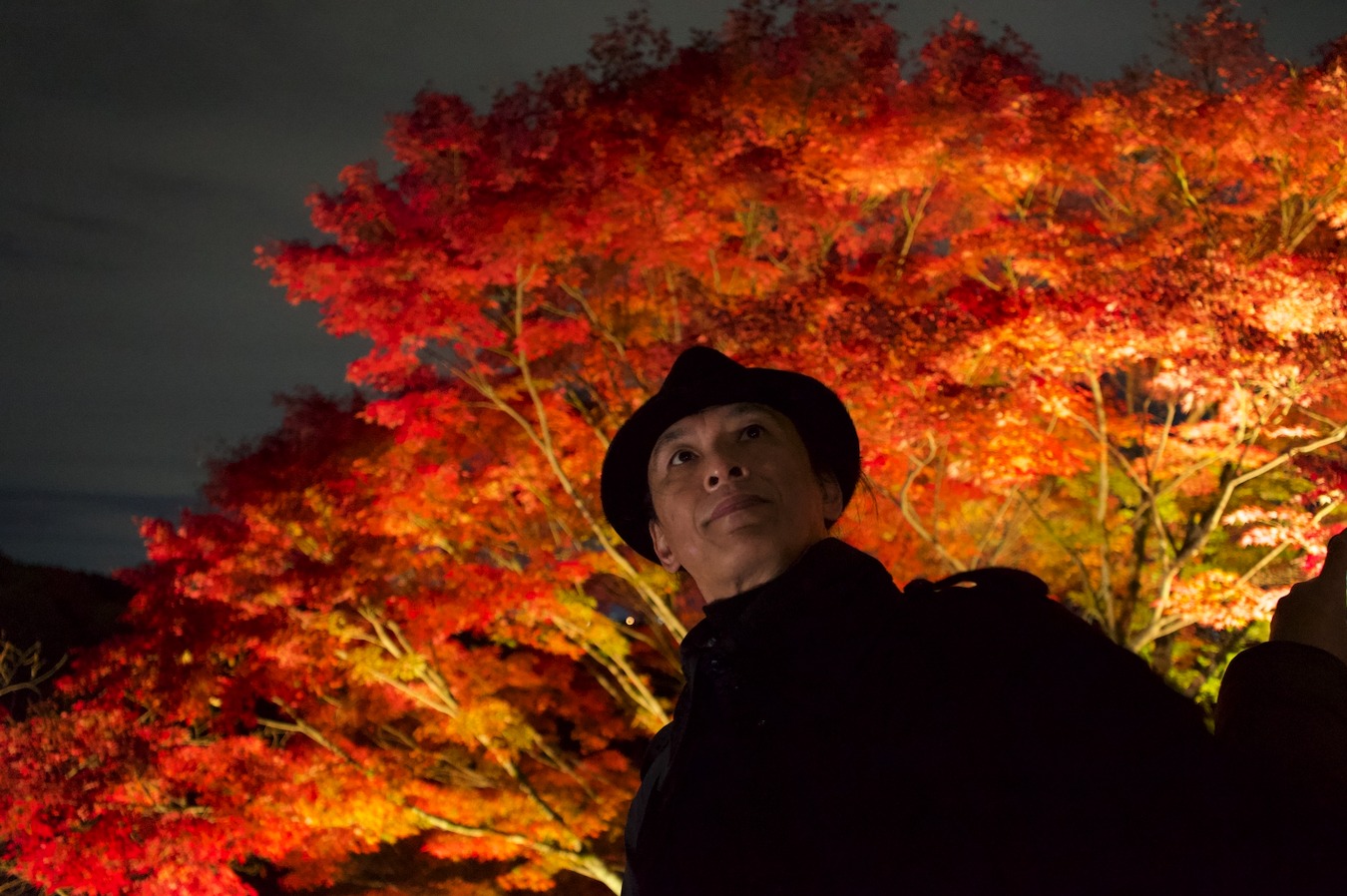 Tatsuya Dejima Official Site