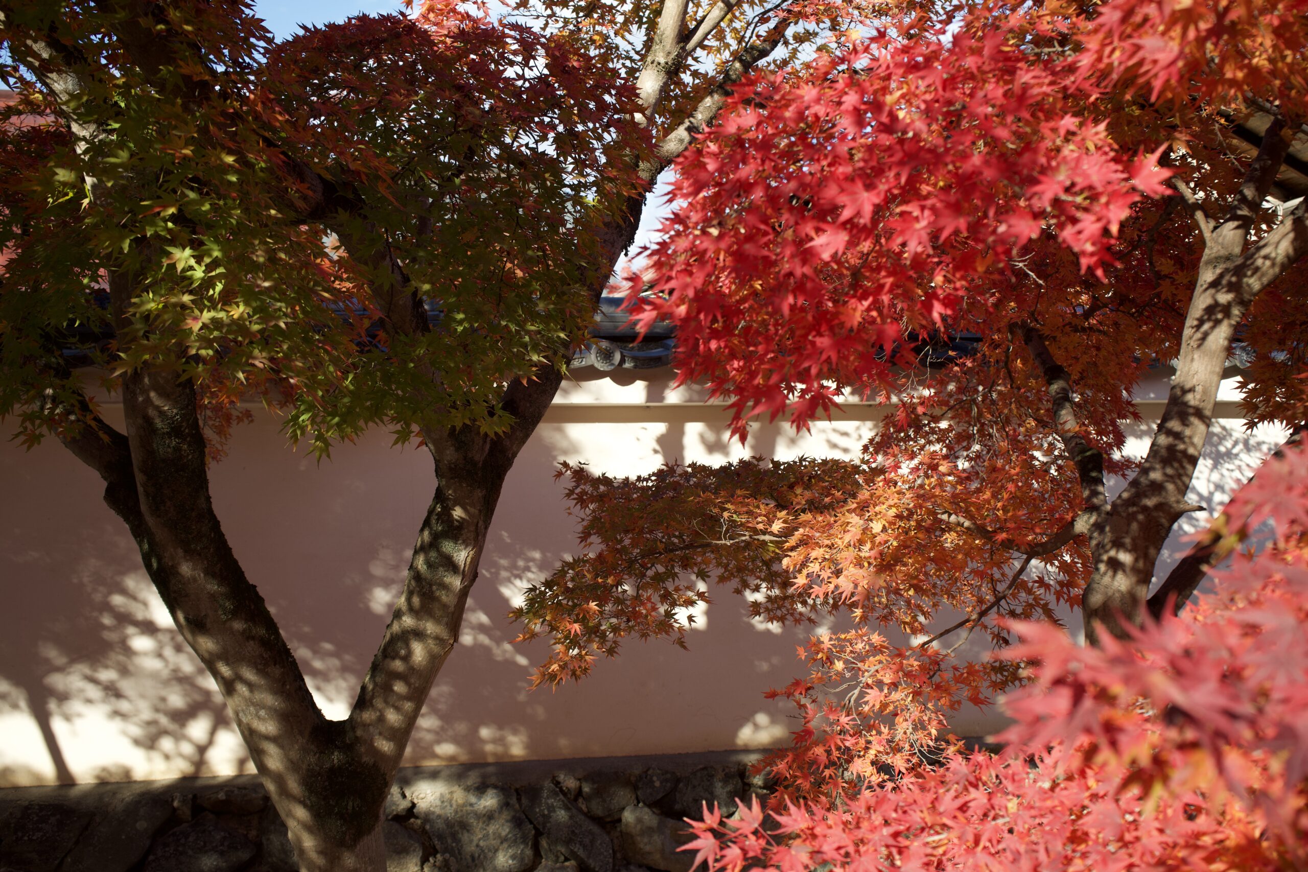 Tatsuya Dejima Official Site Tatsuya Dejima Official Site