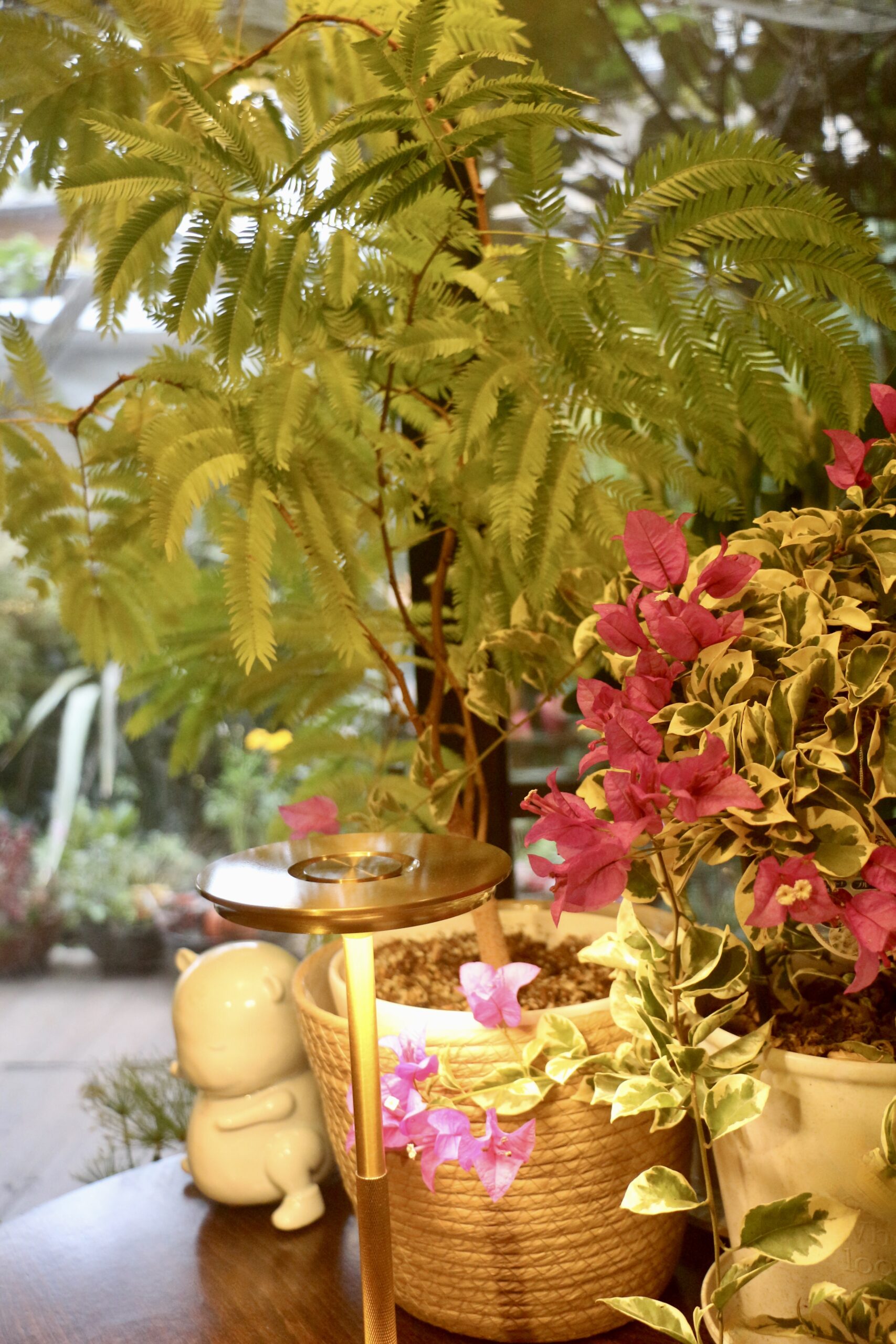 Tatsuya Dejima Official Site