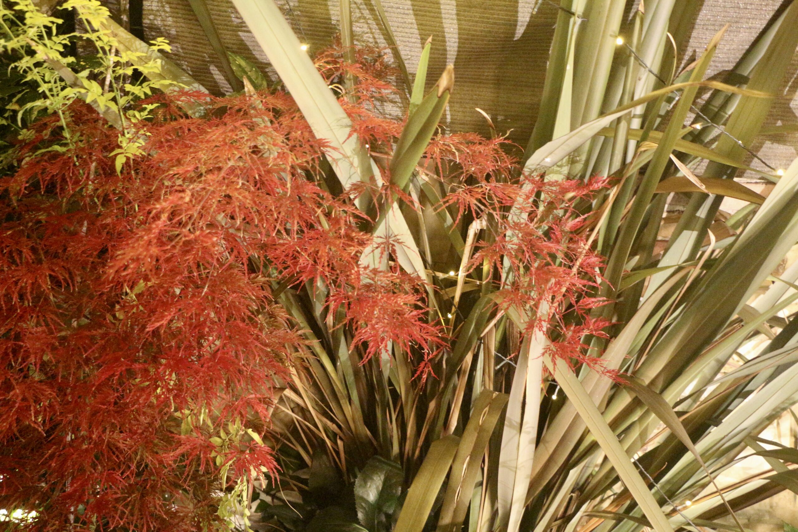 Tatsuya Dejima Official Site