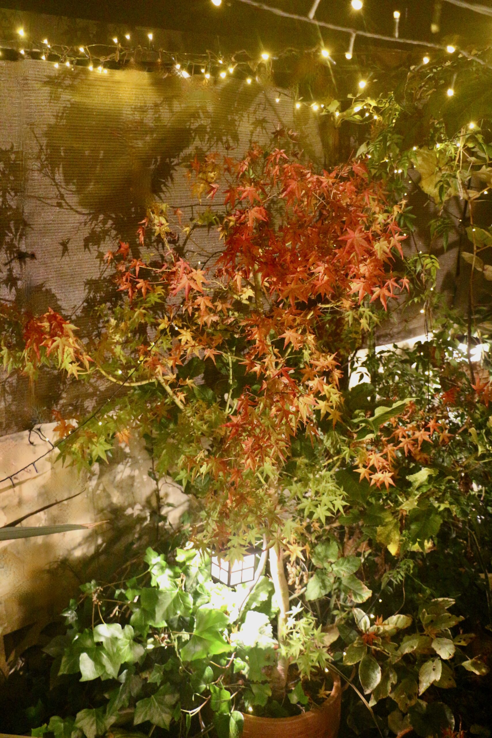 Tatsuya Dejima Official Site