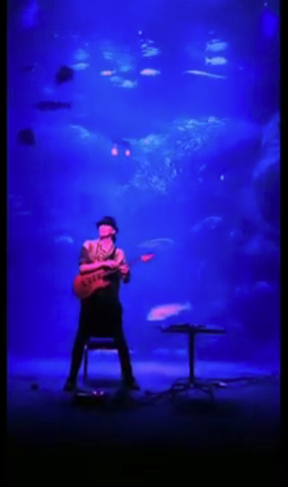 Tatsuya Dejima Official Site