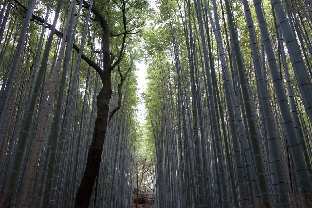 Tatsuya Dejima Official Site Tatsuya Dejima Official Site