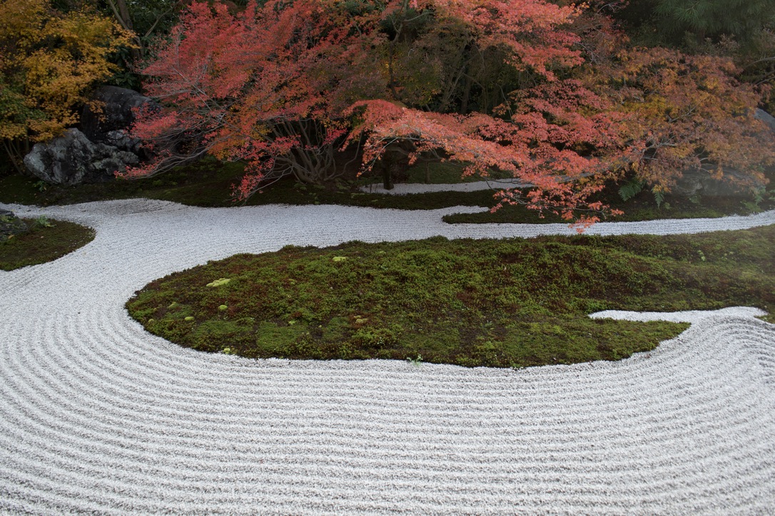 Tatsuya Dejima Official Site