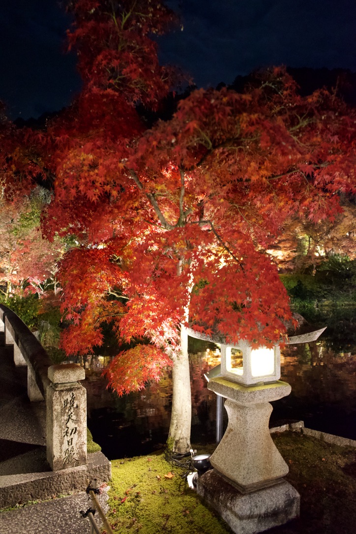 Tatsuya Dejima Official Site Tatsuya Dejima Official Site