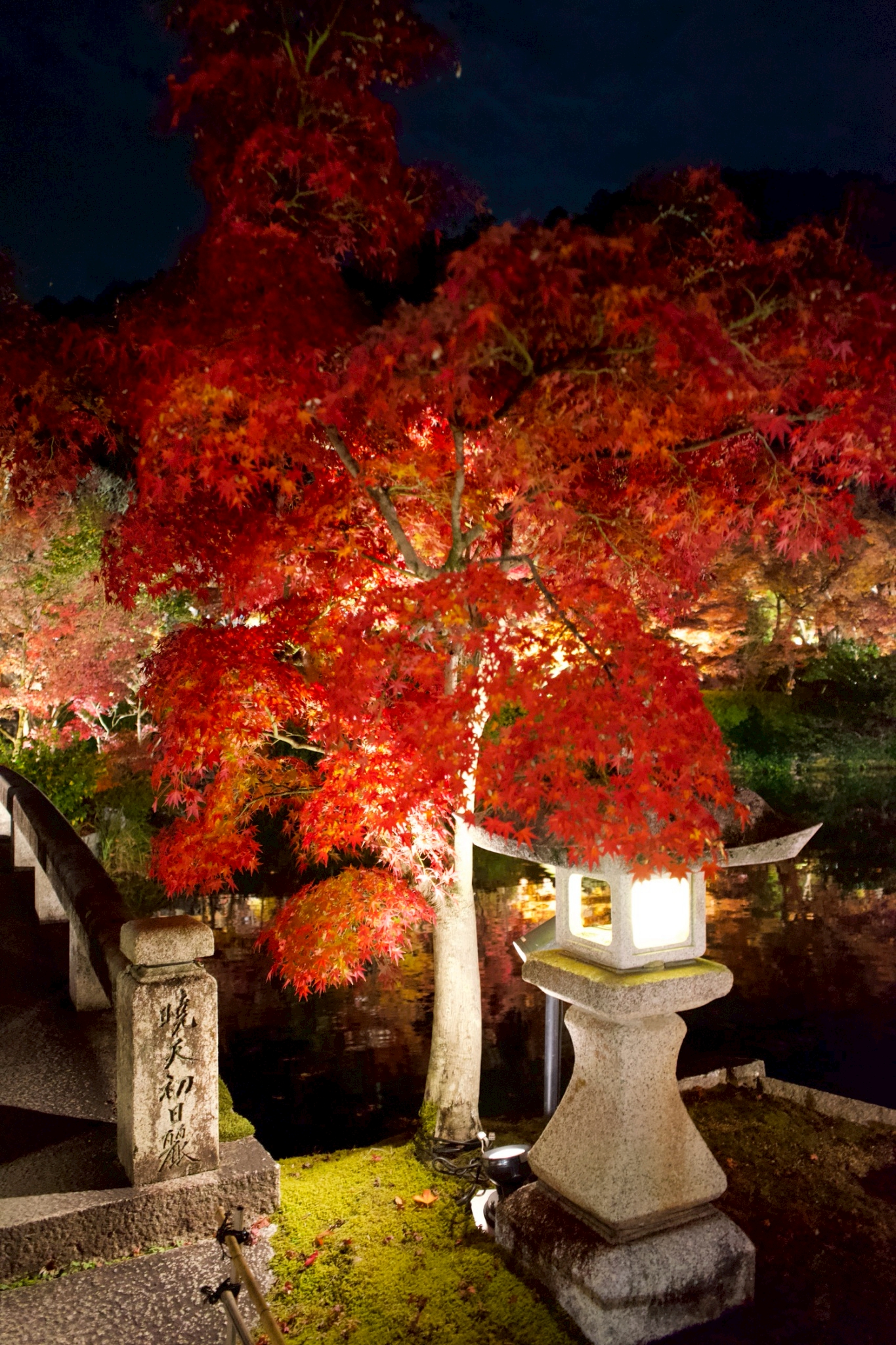 Tatsuya Dejima Official Site