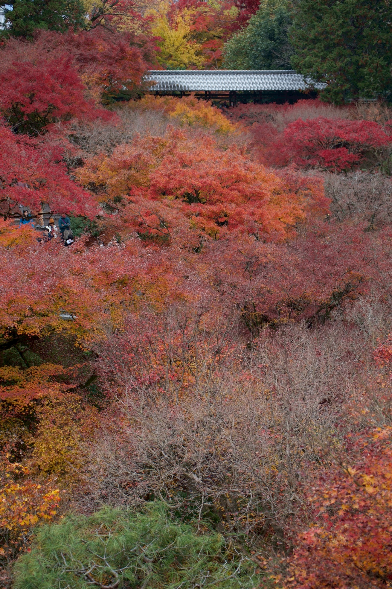 Tatsuya Dejima Official Site