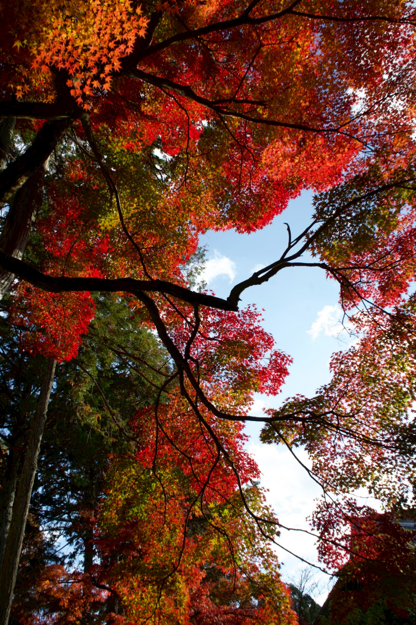 Tatsuya Dejima Official Site Tatsuya Dejima Official Site