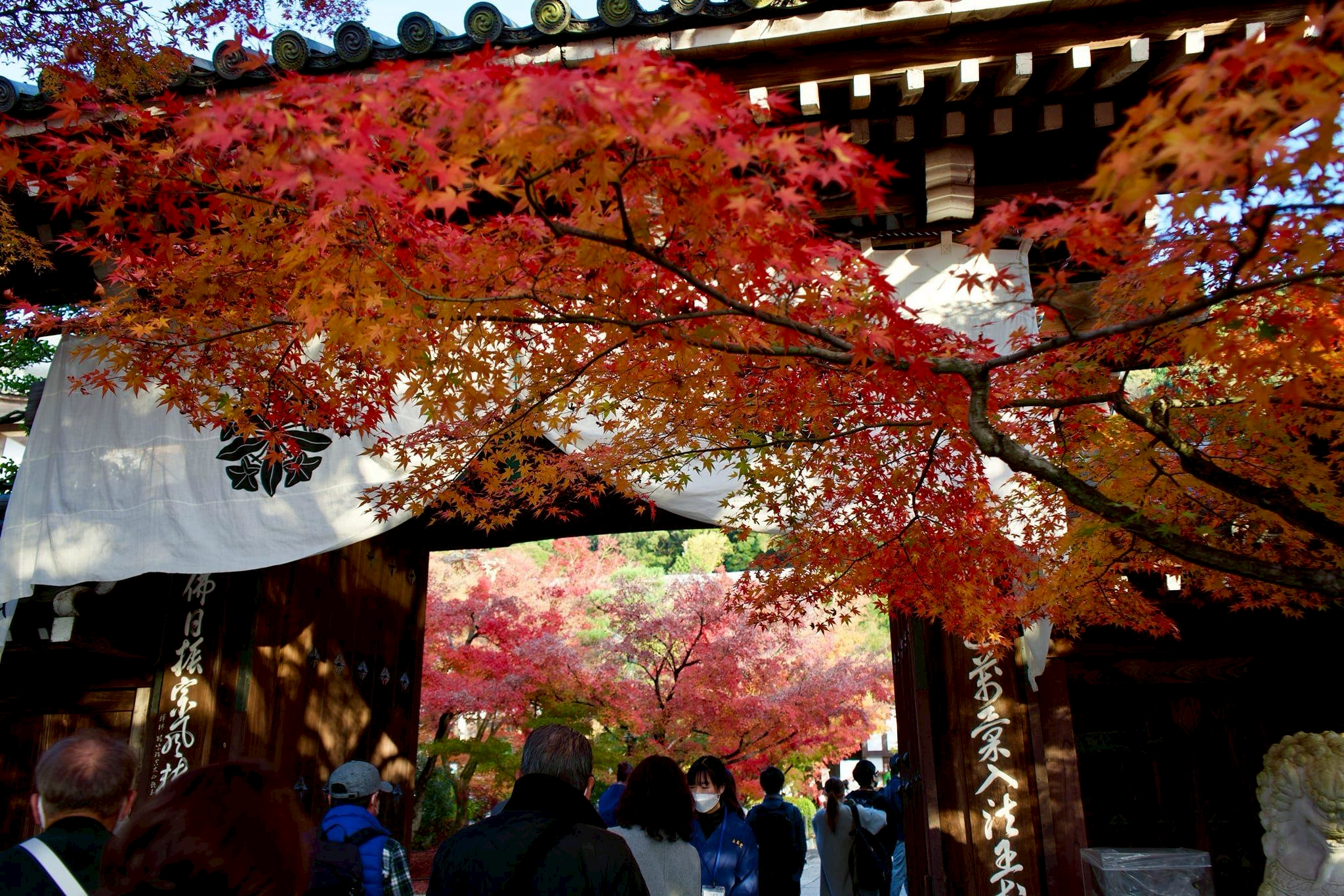 Tatsuya Dejima Official Site