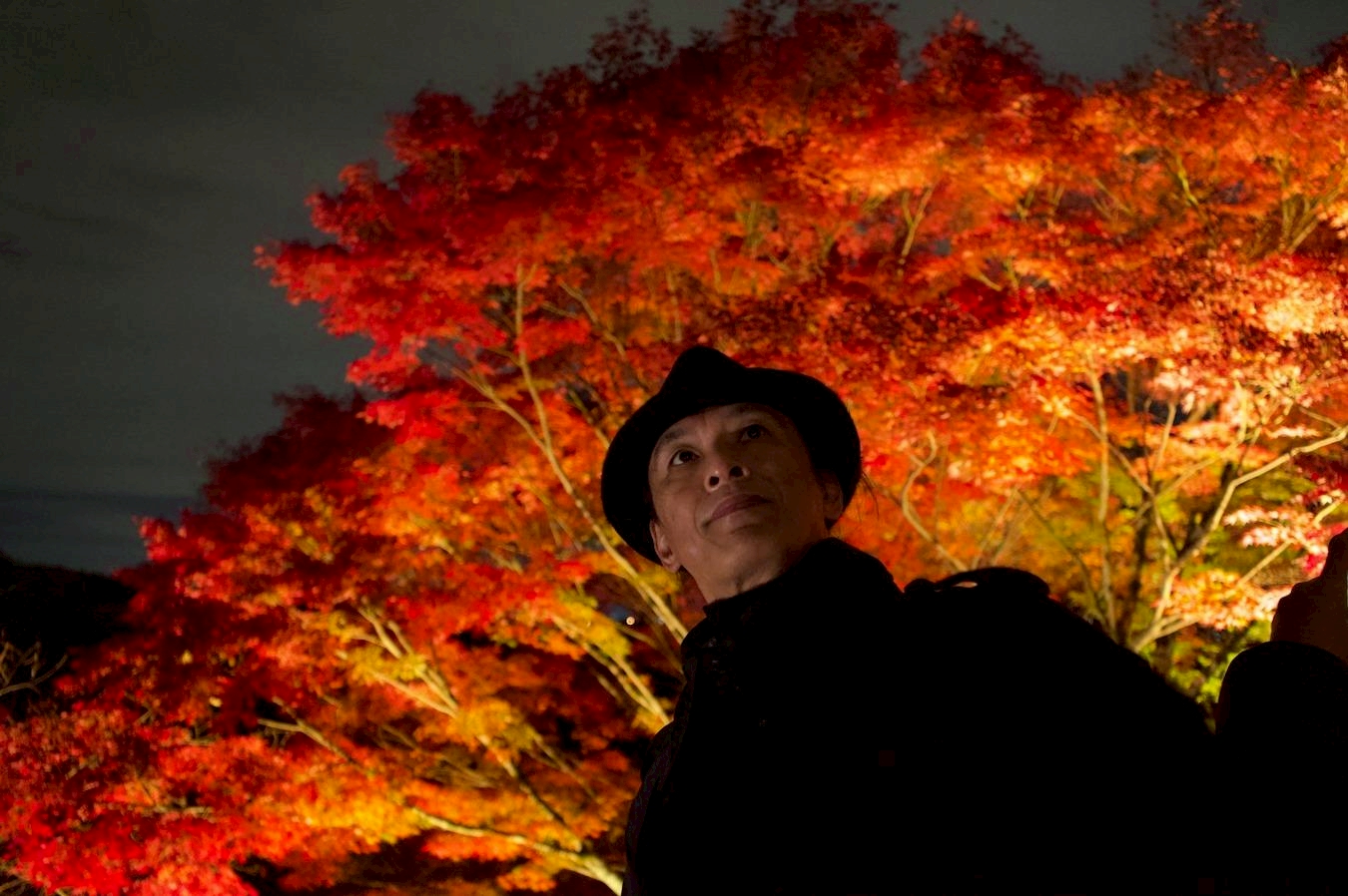 Tatsuya Dejima Official Site