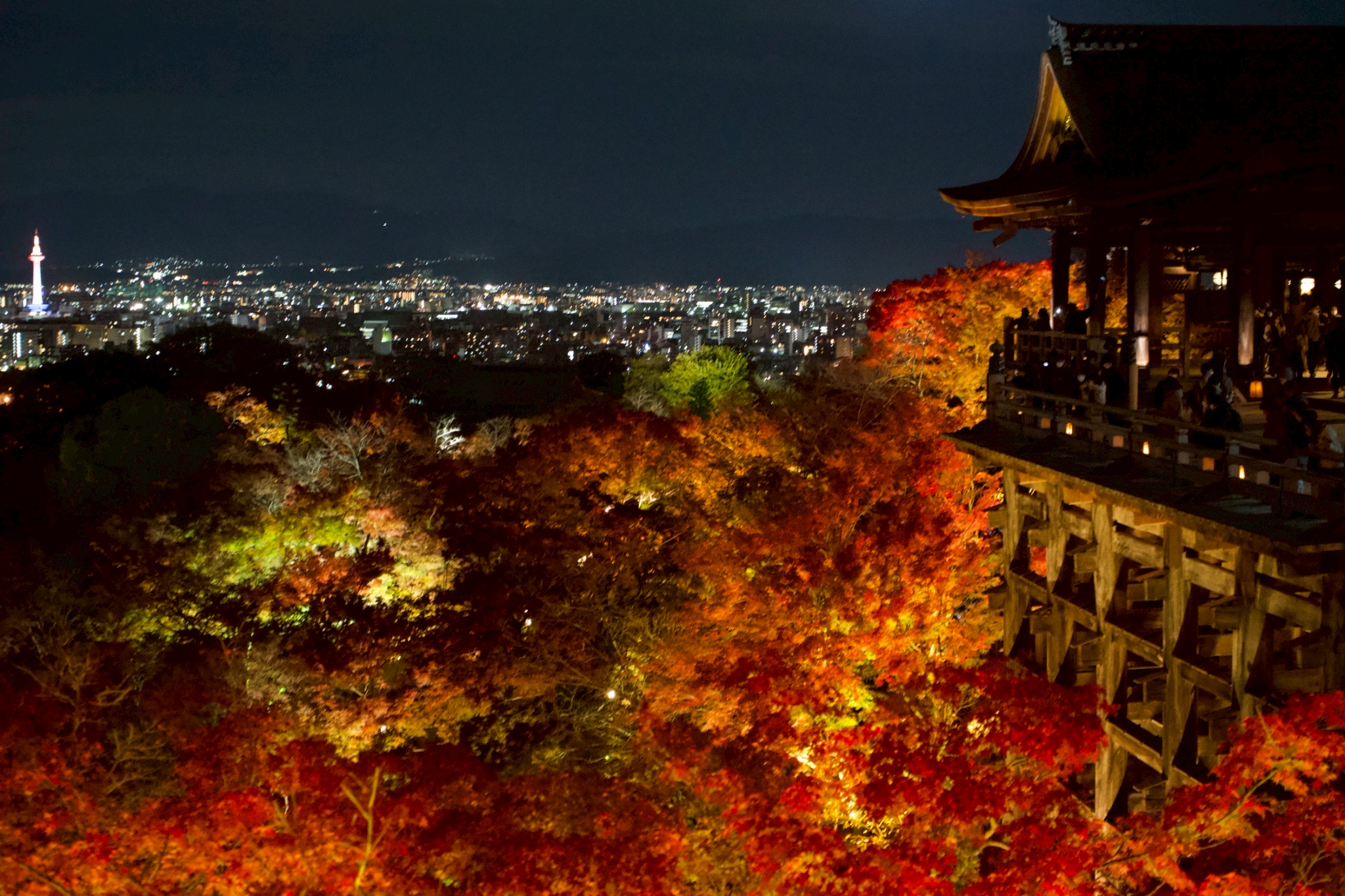 Tatsuya Dejima Official Site