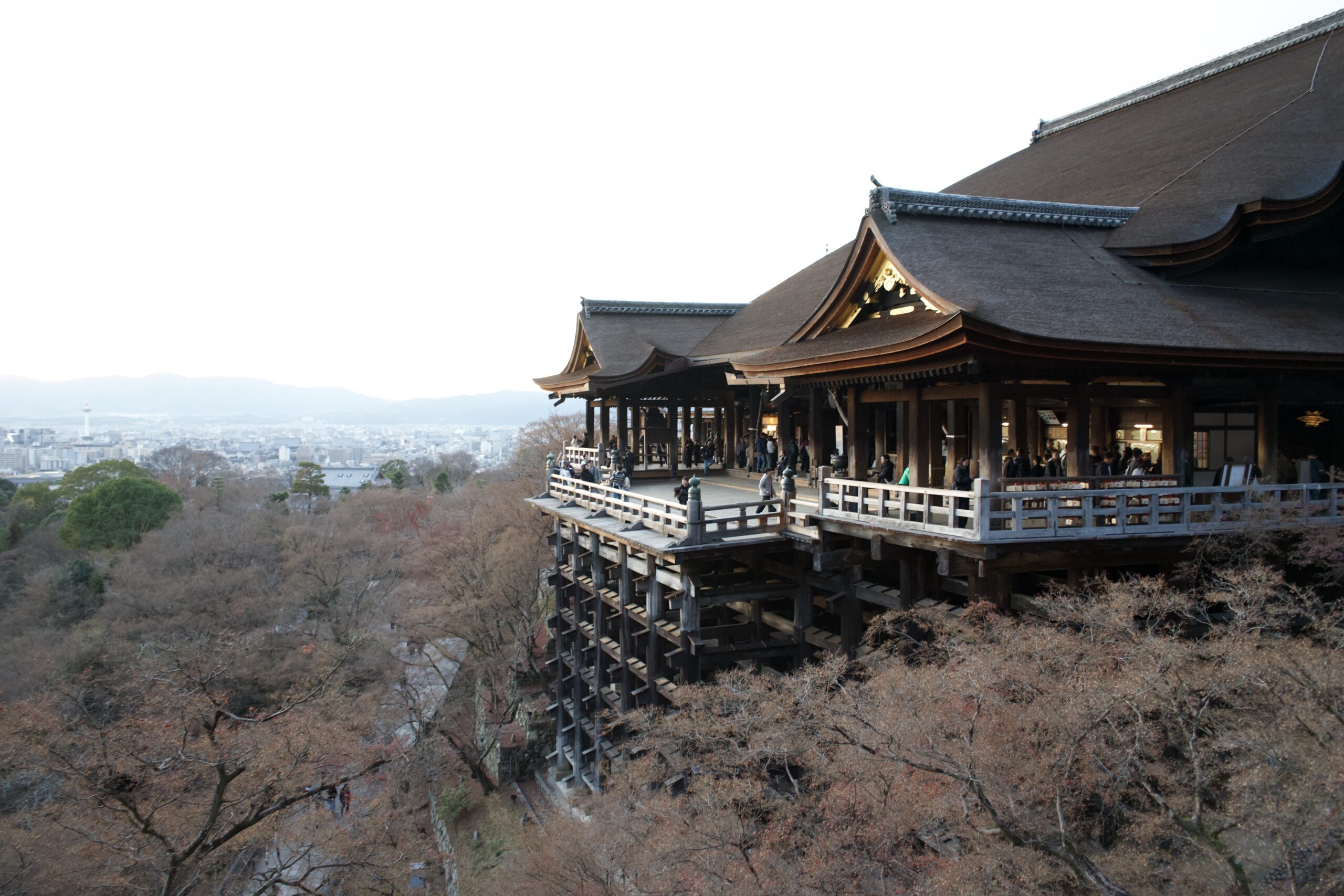 Tatsuya Dejima Official Site