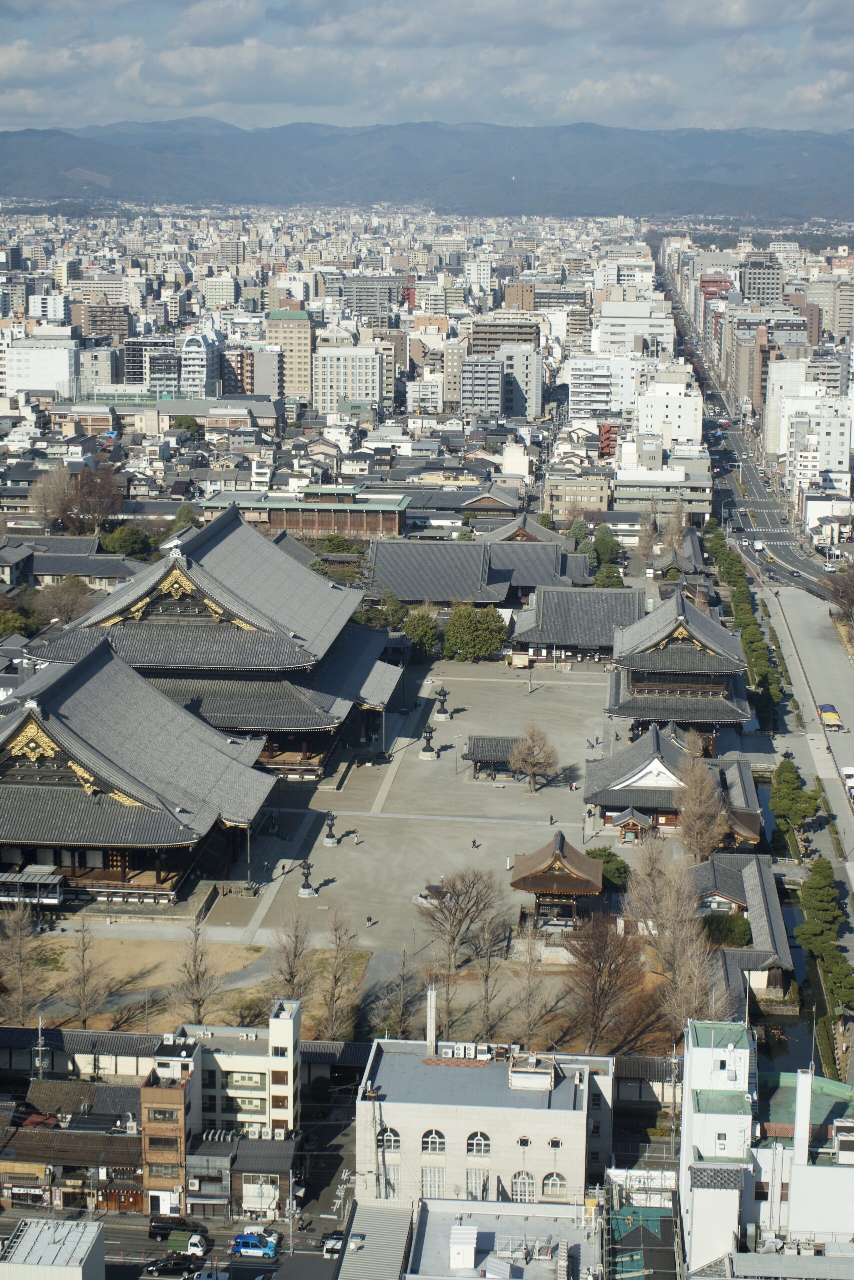 Tatsuya Dejima Official Site Tatsuya Dejima Official Site