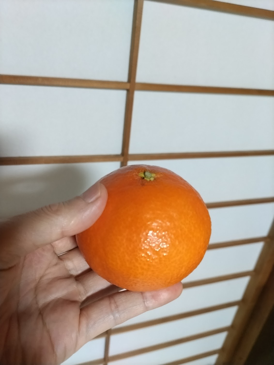 Tatsuya Dejima Official Site