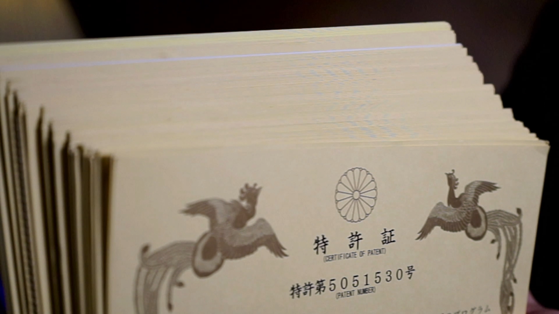 Tatsuya Dejima Official Site